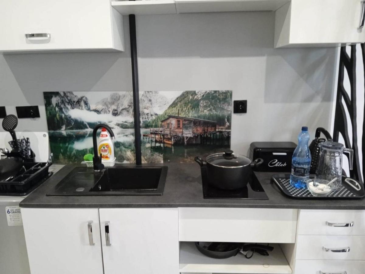 דוז'ניקי ז'דרוז' Komfortowy Apartament U Baltazara מראה חיצוני תמונה