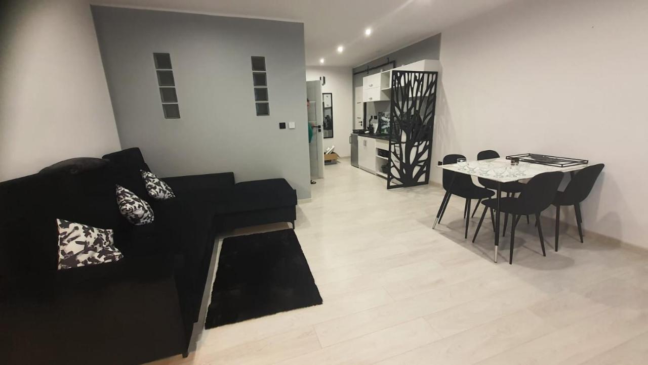 דוז'ניקי ז'דרוז' Komfortowy Apartament U Baltazara מראה חיצוני תמונה